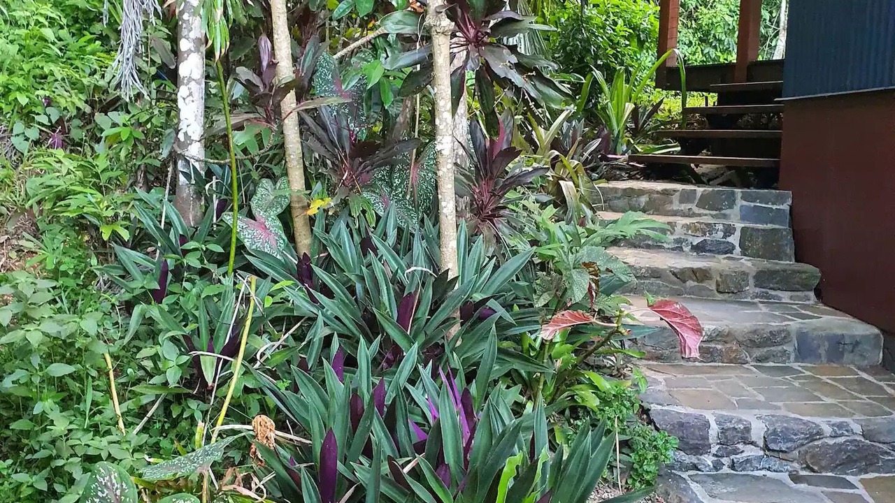 Photo of Outdoor in Cow Bay