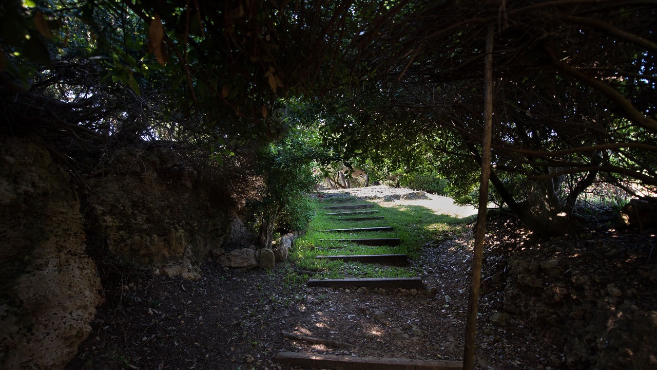 Photo of Others in Pyrgos
