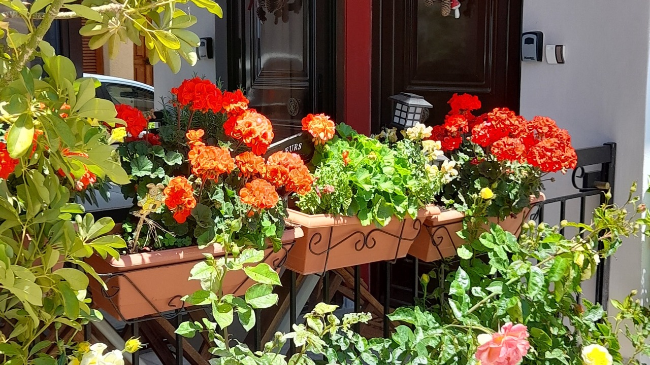 Photo of Outdoor in Delfoi