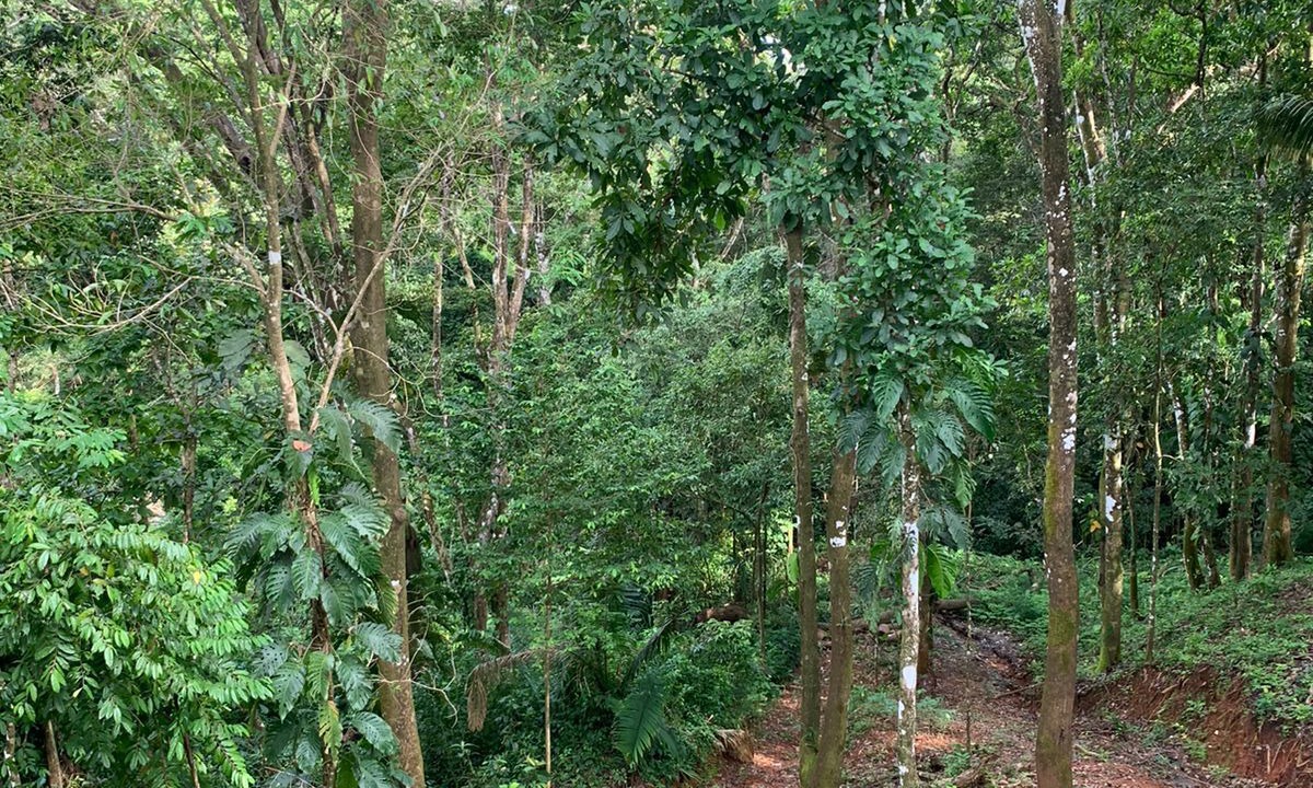 Photo of Outdoor in Esterillos Oeste