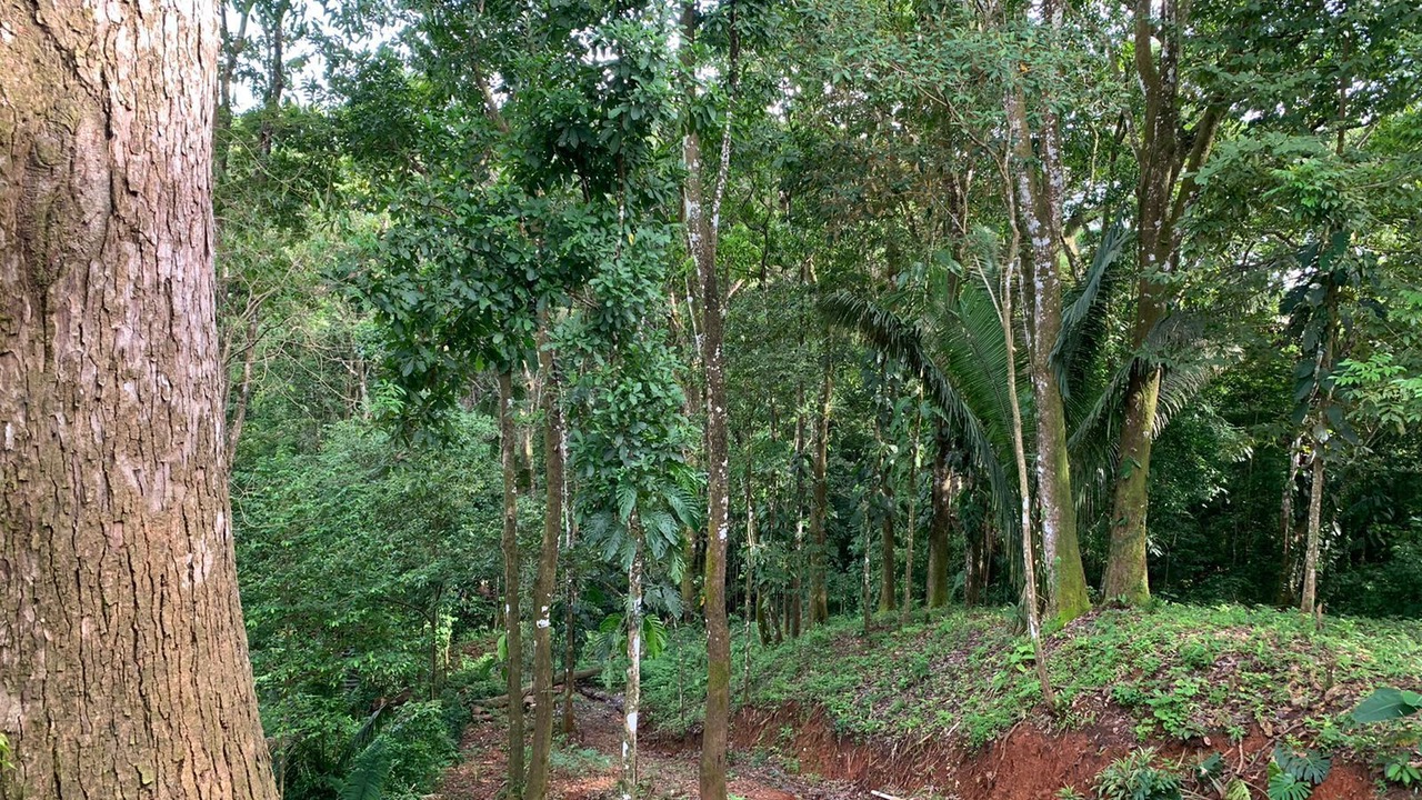 Photo of Outdoor in Esterillos Oeste