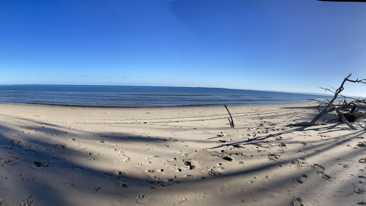 Photo of Others in Bongaree