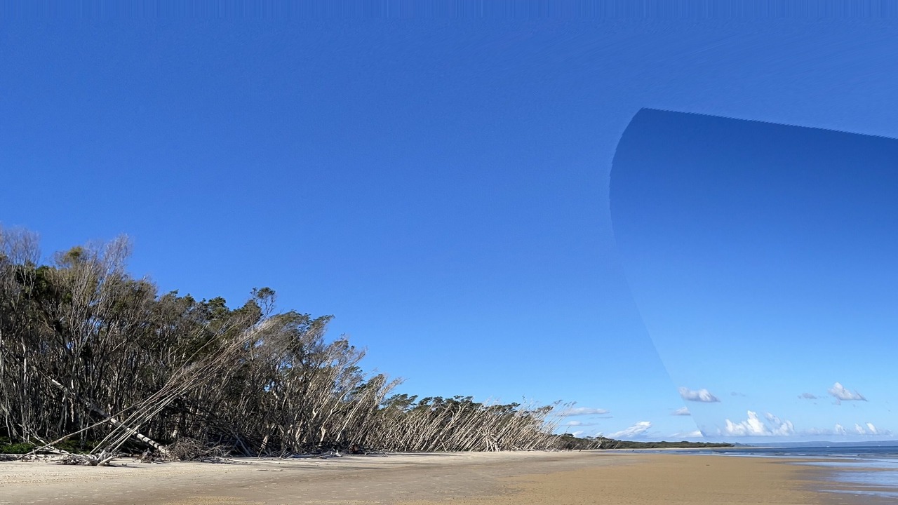 Photo of Others in Bongaree