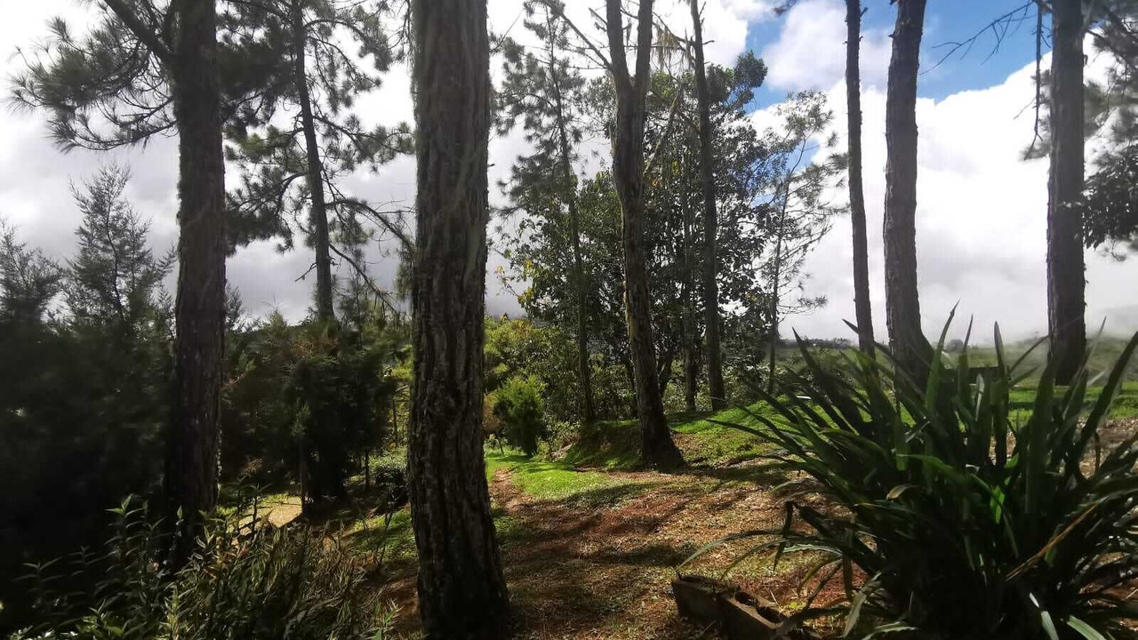 Photo of Outdoor in Quebrada La Gamba