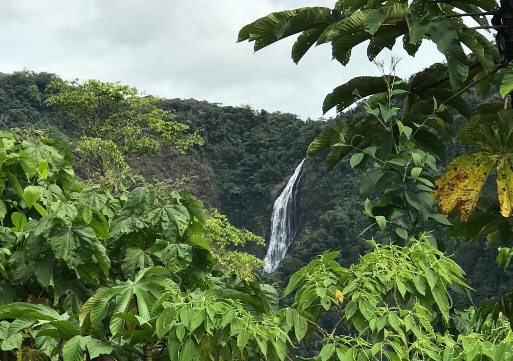 Photo of Outdoor in Quebrada La Gamba