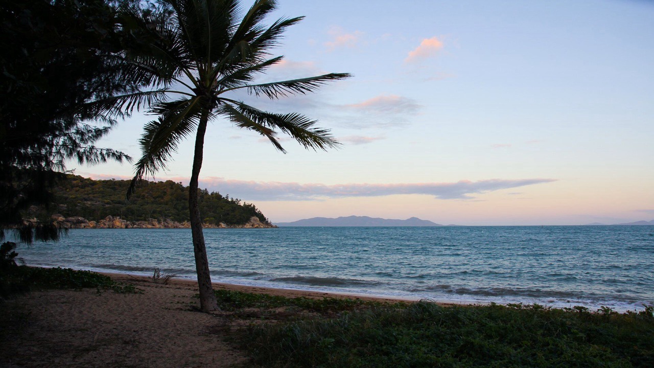 Photo of Others in Picnic Bay