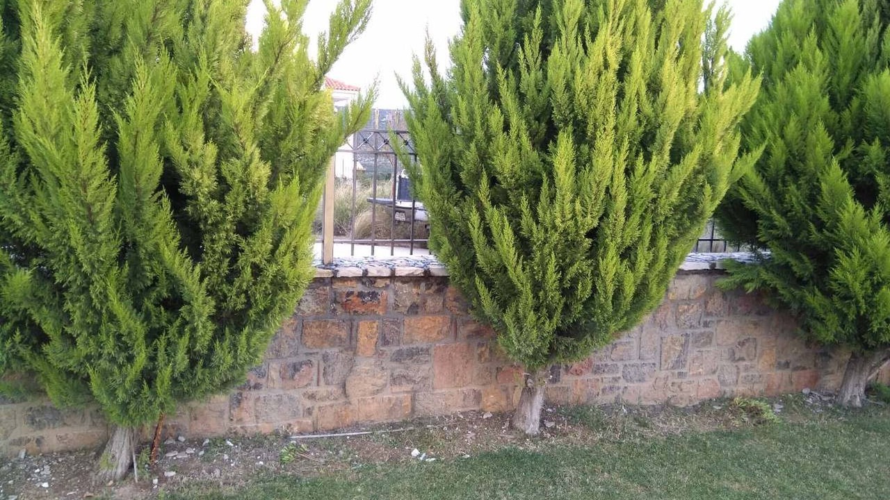 Photo of Outdoor in Kymi-Aliveri