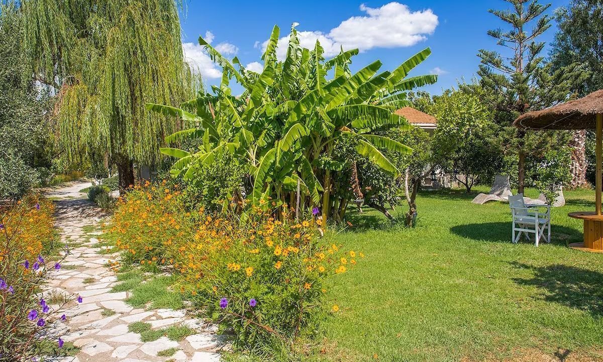 Photo of Outdoor in Vassiliki