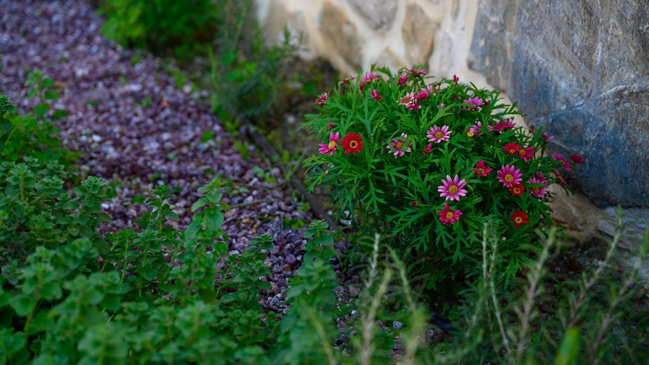 Photo of Outdoor in Kouses