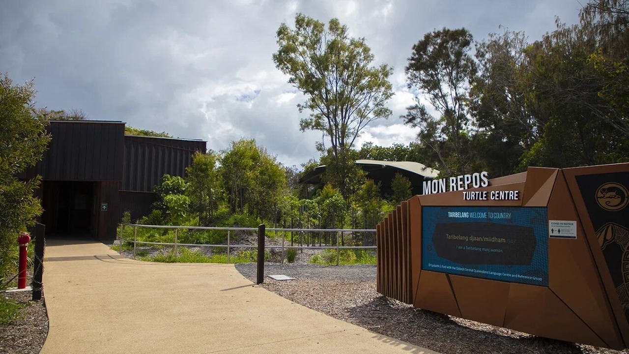 Photo of Outdoor in Burnett Heads