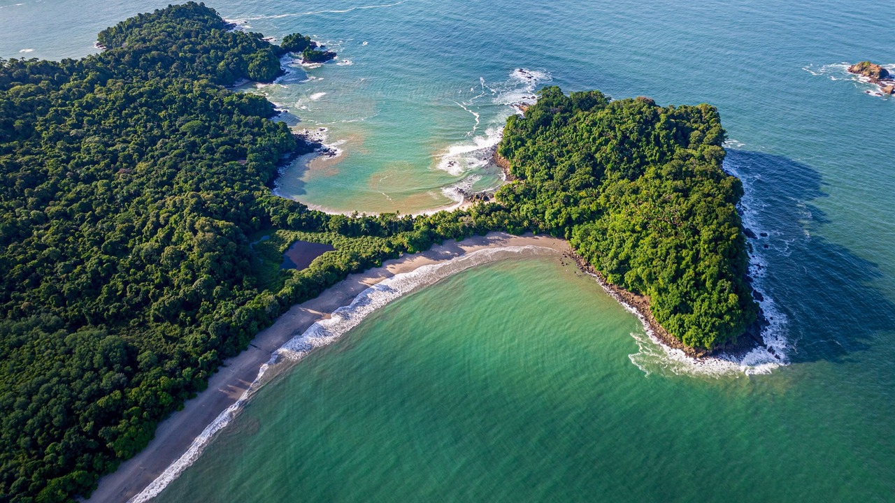 Photo of Others in Manuel Antonio