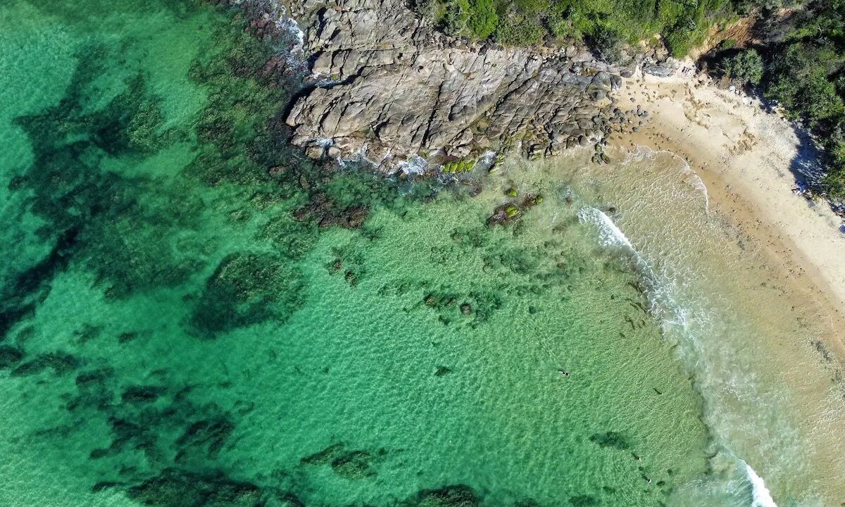 Photo of Others in Sunshine Coast