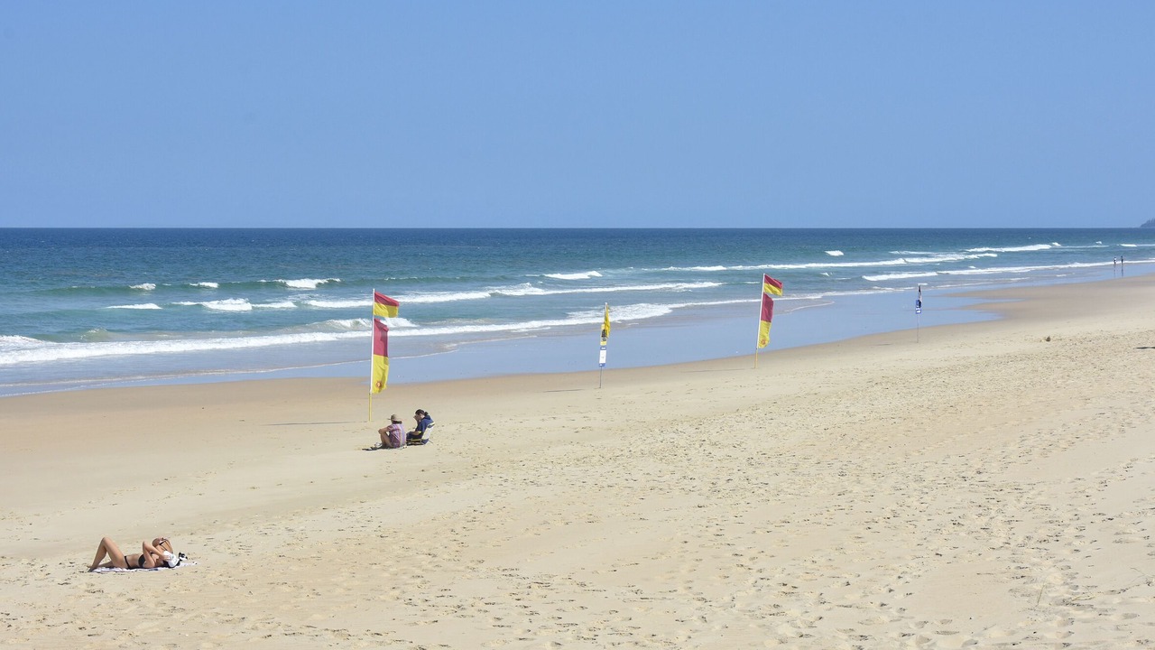 Photo of Others in Sunshine Coast
