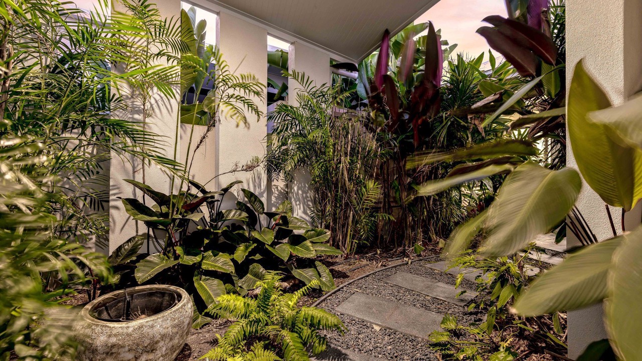Photo of Outdoor in Palm Cove