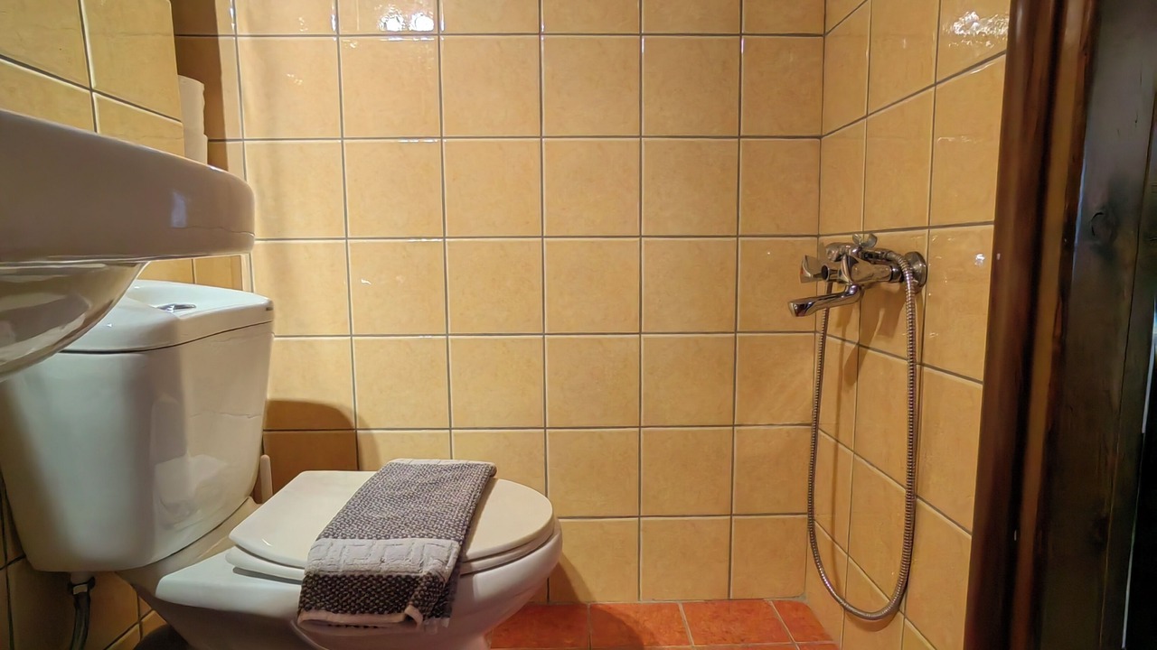 Photo of Bathroom in Platanos