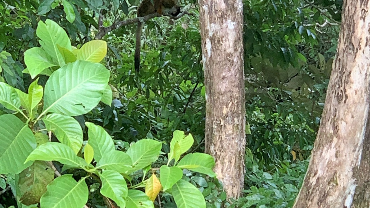 Photo of Outdoor in Tres Rios