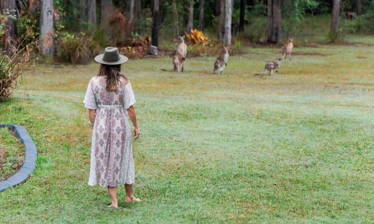 Photo of Others in Tinbeerwah