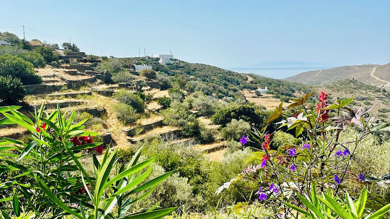 Photo of Others in Andros
