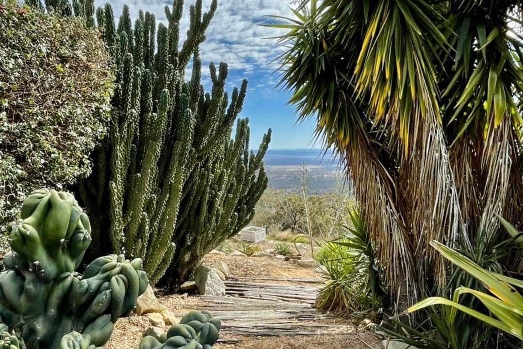 Photo of Outdoor in Dalveen