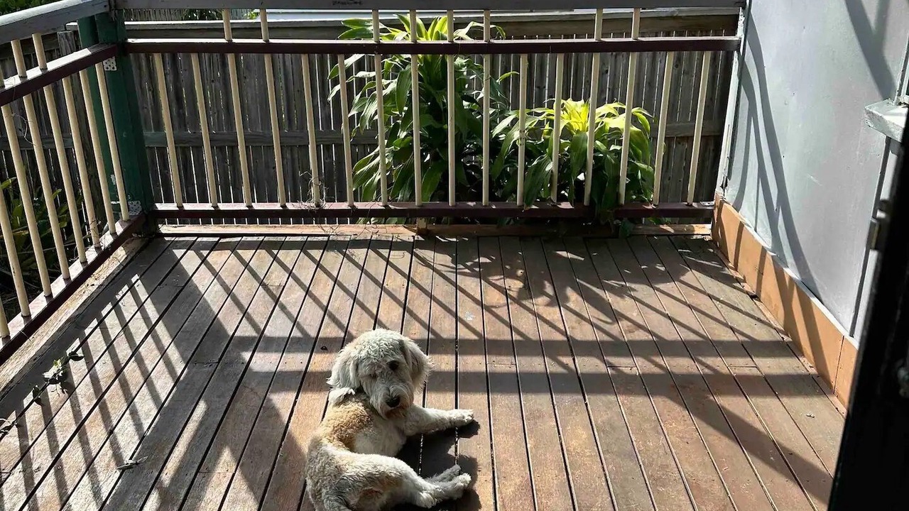 Photo of Outdoor in South Townsville