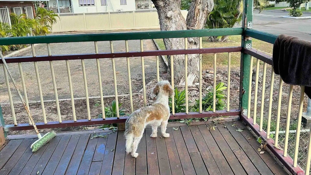 Photo of Outdoor in South Townsville