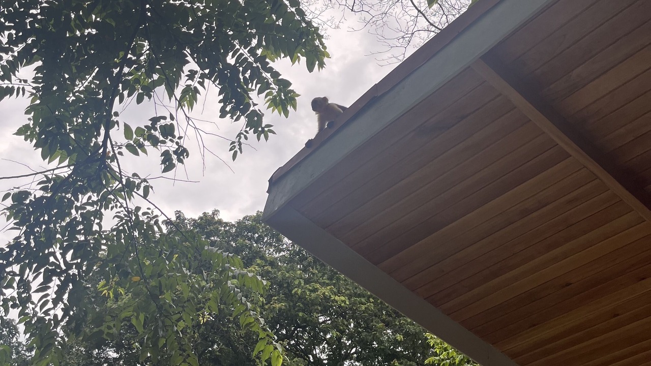 Photo of Outdoor in Cabuya