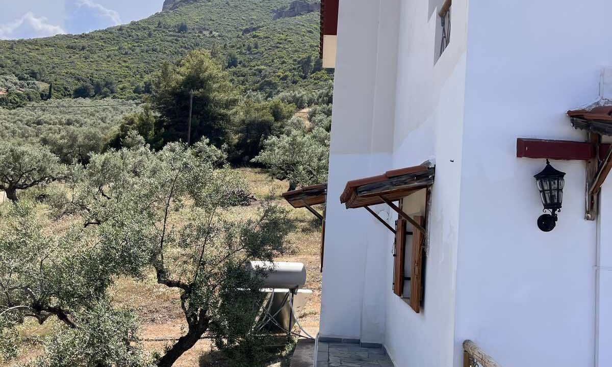 Photo of Outdoor in Trapeza