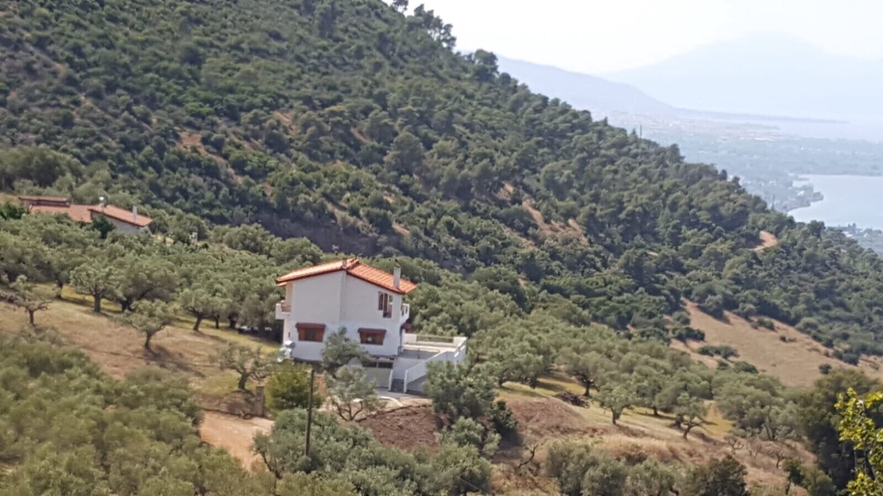 Photo of Outdoor in Trapeza
