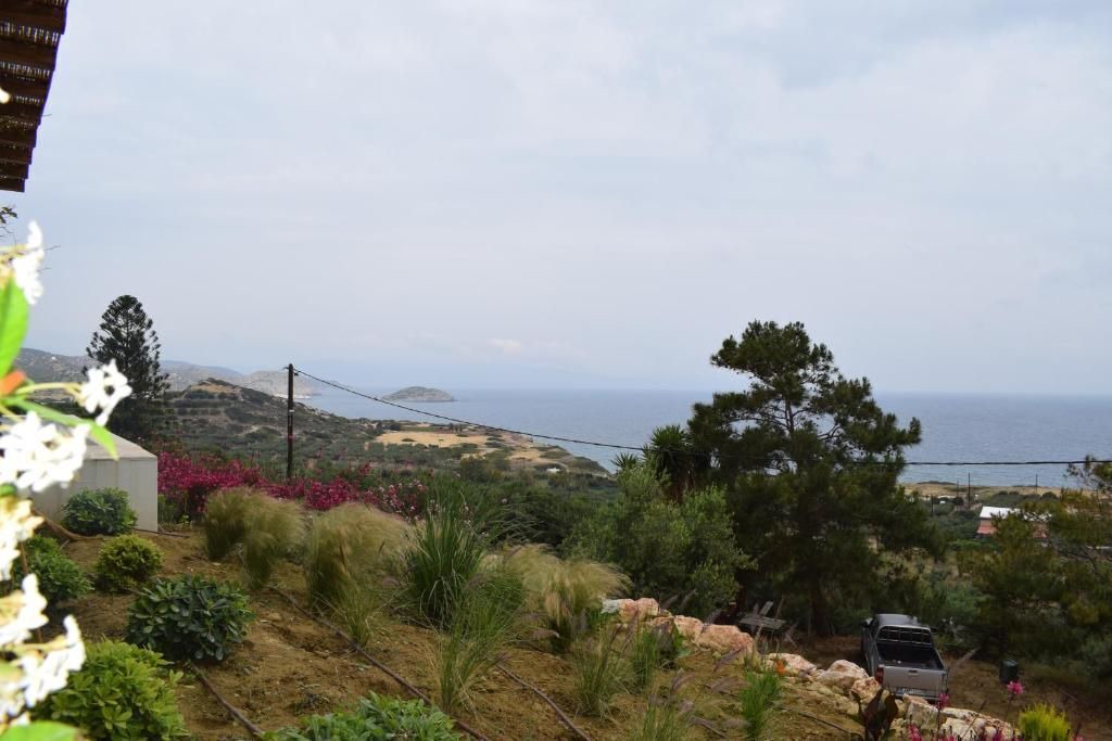 Photo of Outdoor in Pefki