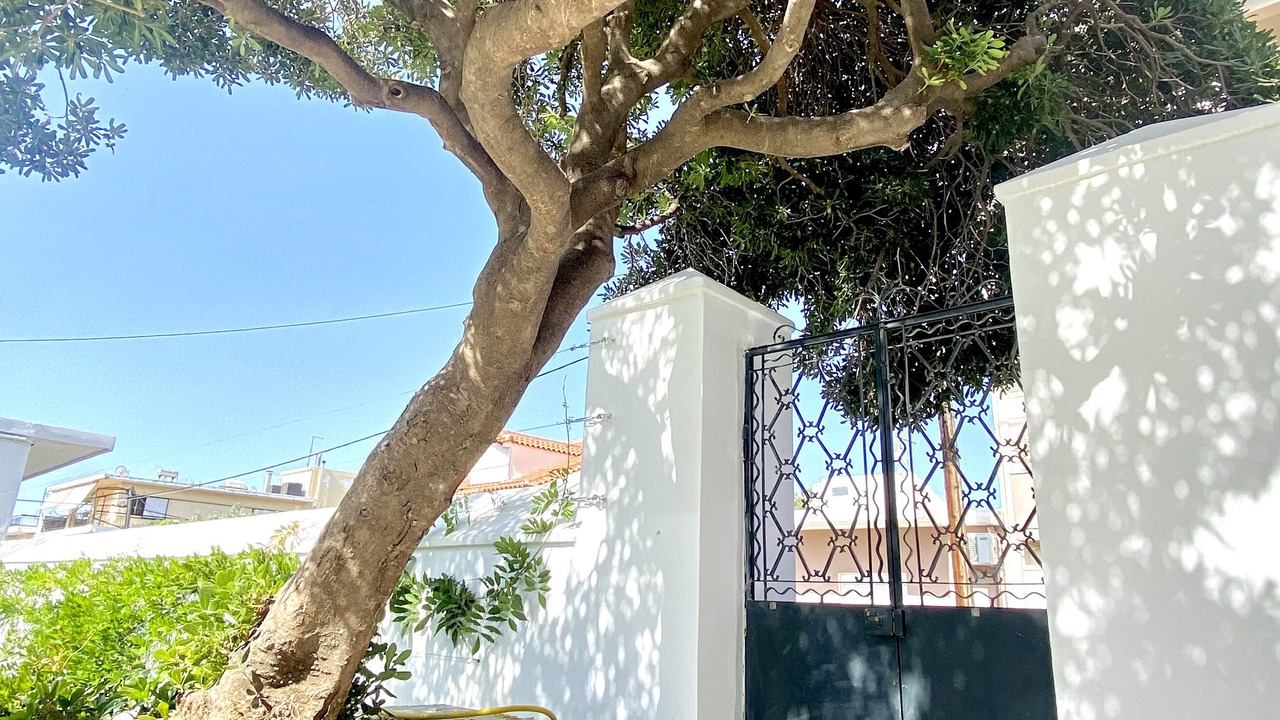 Photo of Outdoor in Karystos