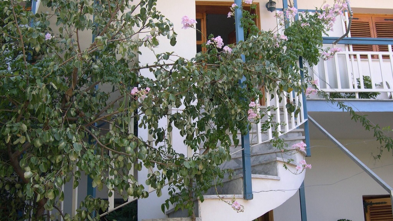 Photo of Outdoor in Kefalari