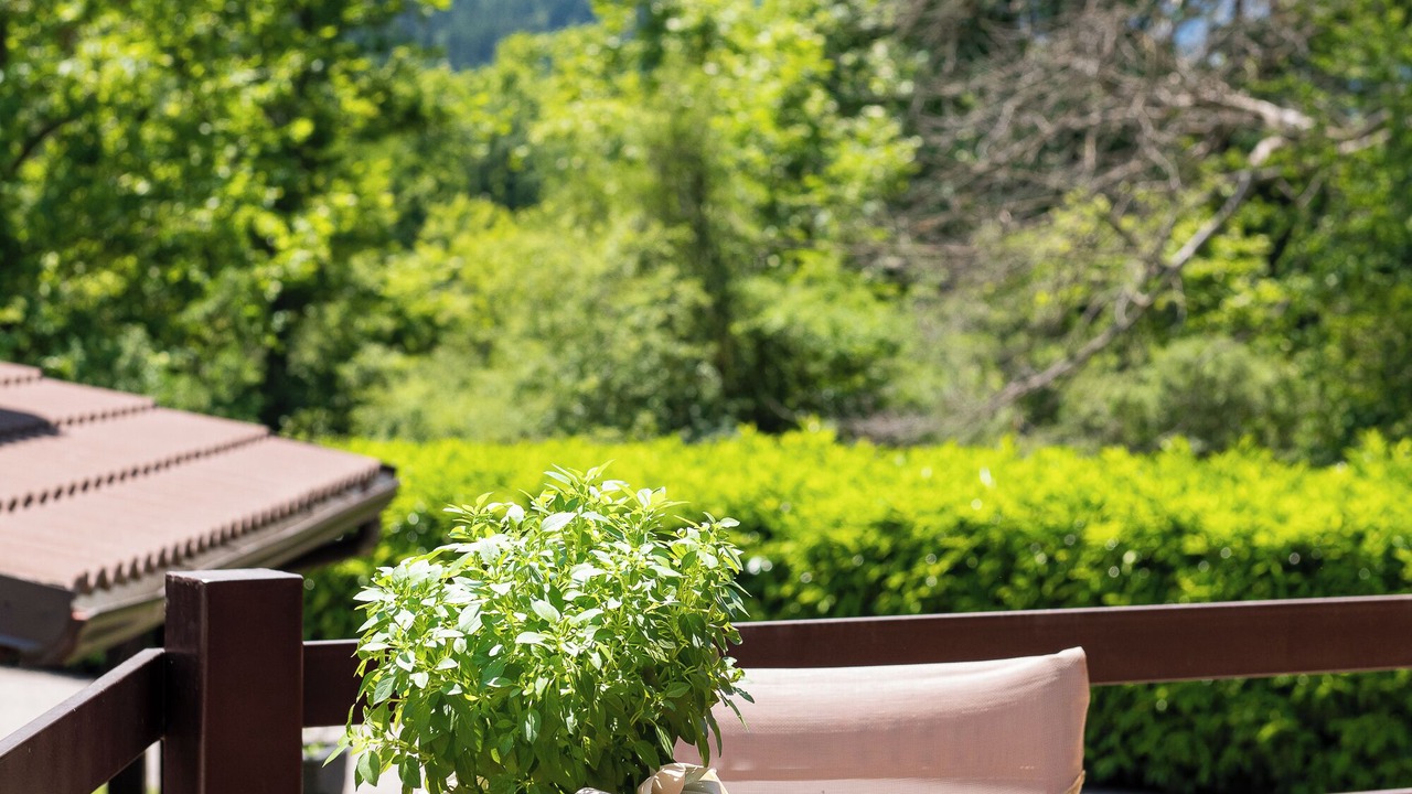 Photo of Patio Balcony in Kakoulioureika