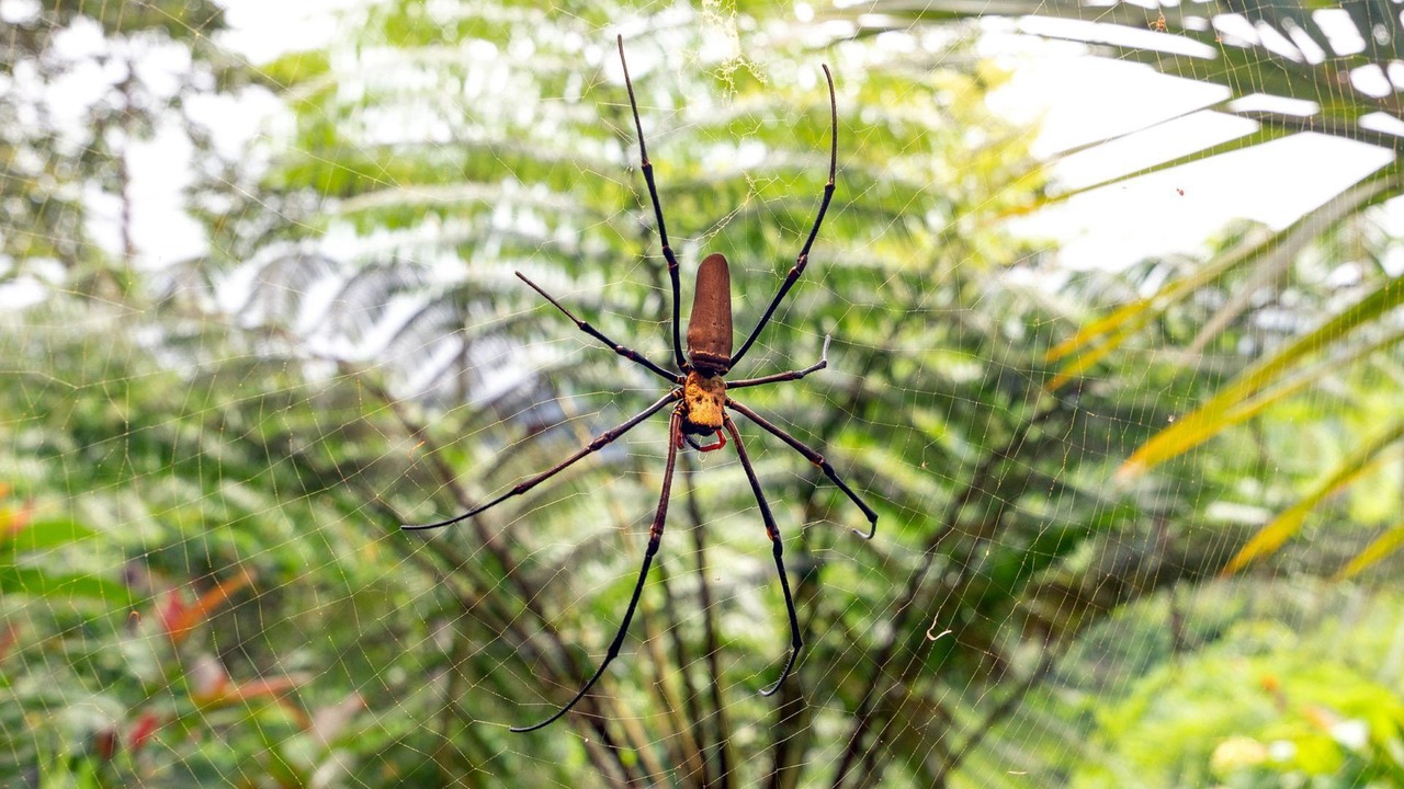 Photo of Outdoor in Whyanbeel