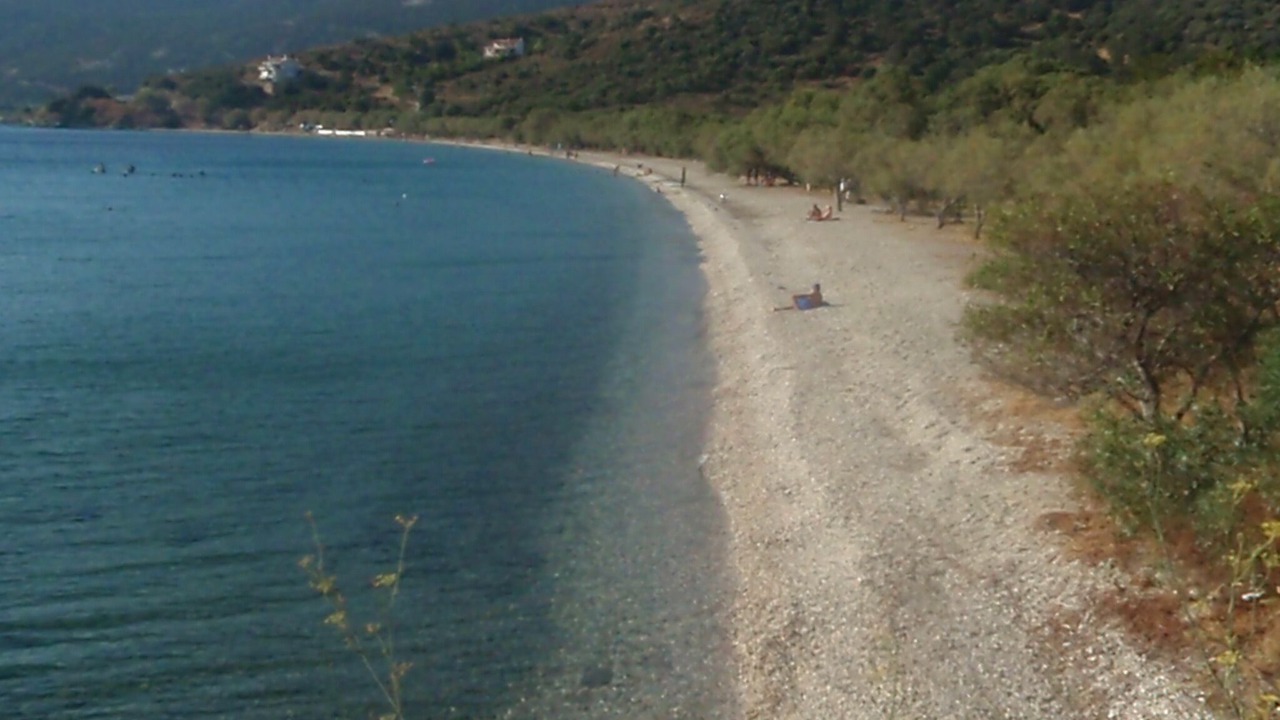 Photo of Others in Marmari