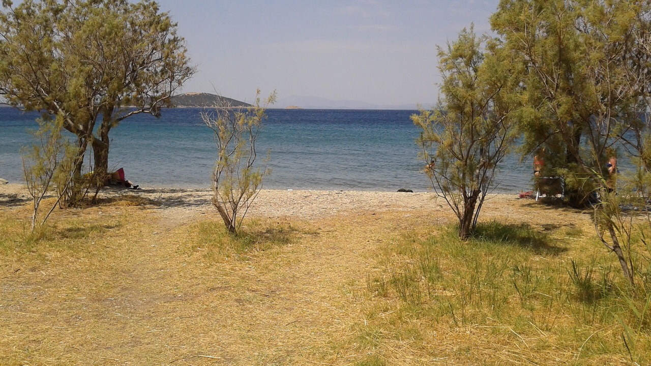 Photo of Others in Marmari