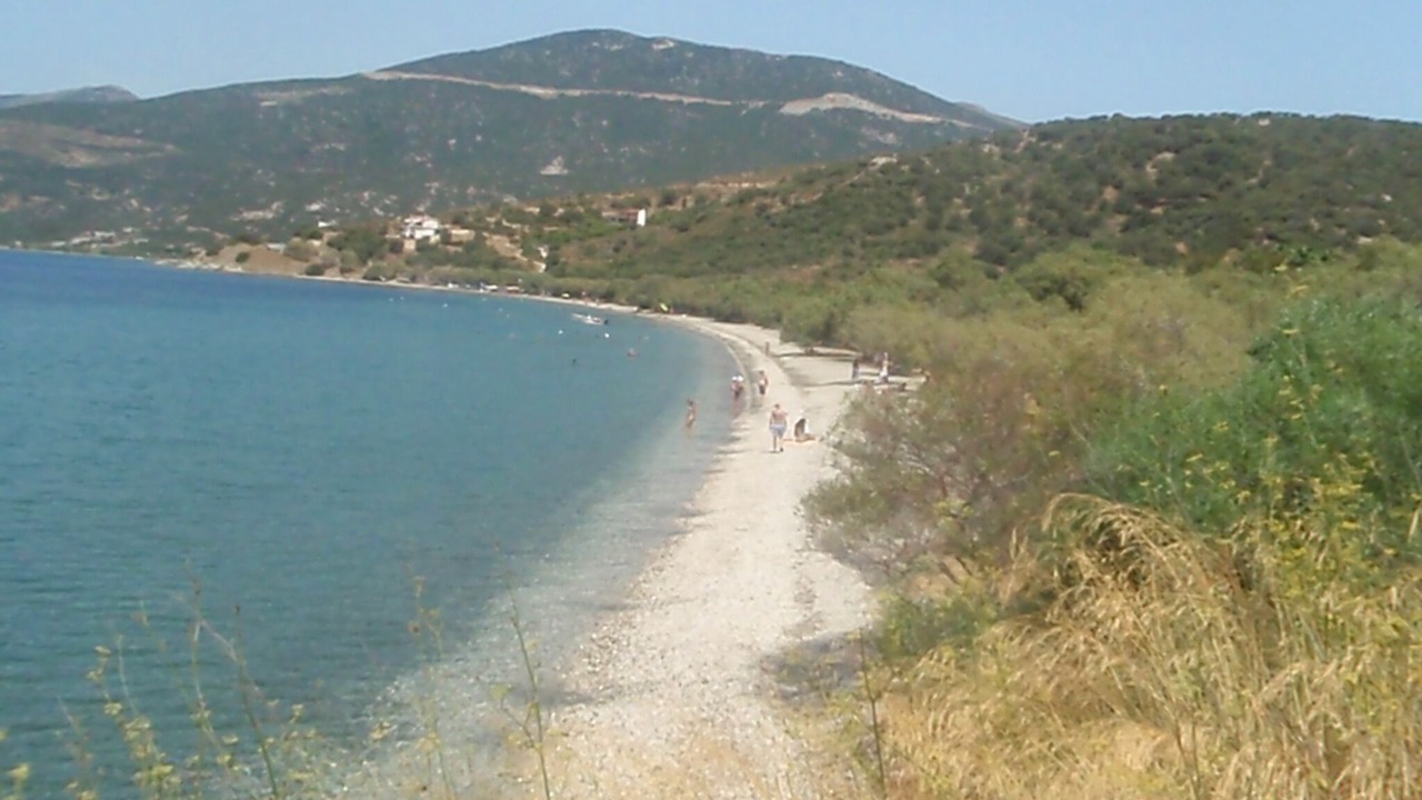 Photo of Others in Marmari