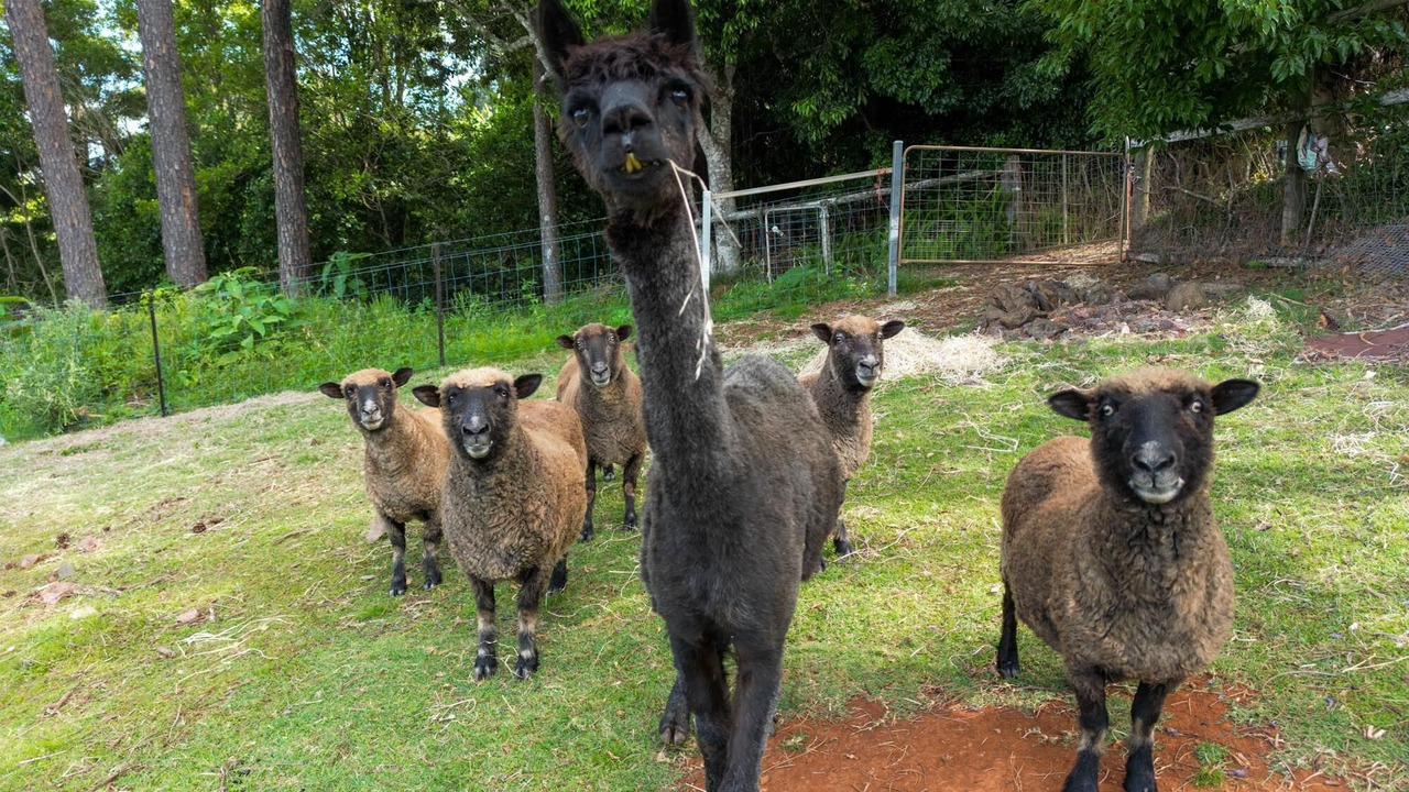 Photo of Others in Mapleton