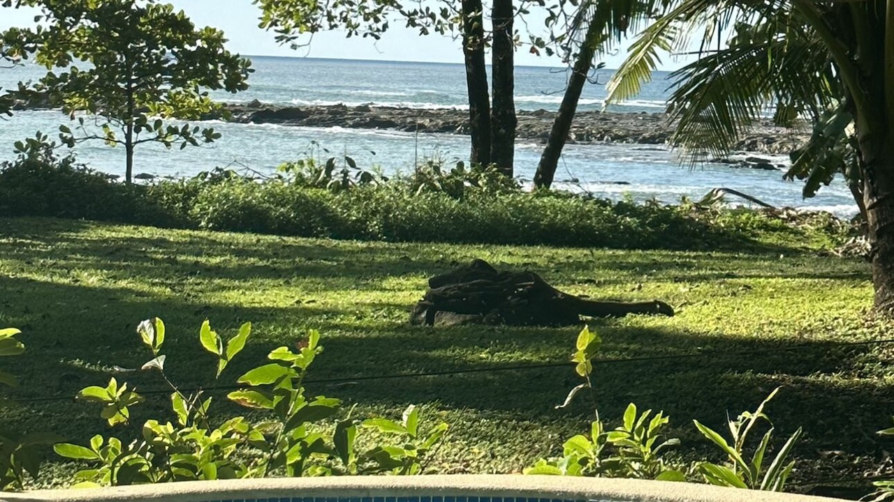 Photo of Outdoor in Mal Pais