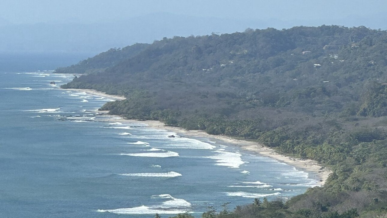 Photo of Others in Mal Pais