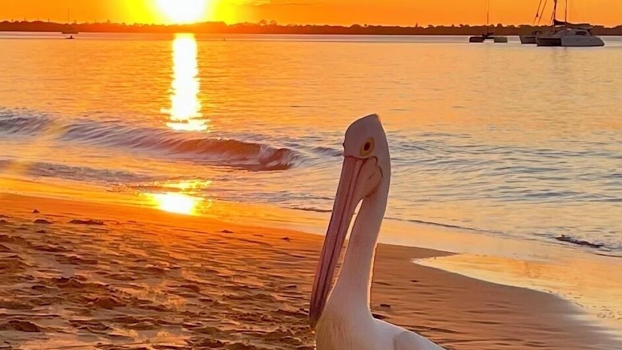 Photo of Others in Torquay