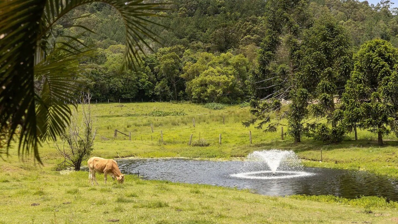 Photo of Outdoor in Eumundi
