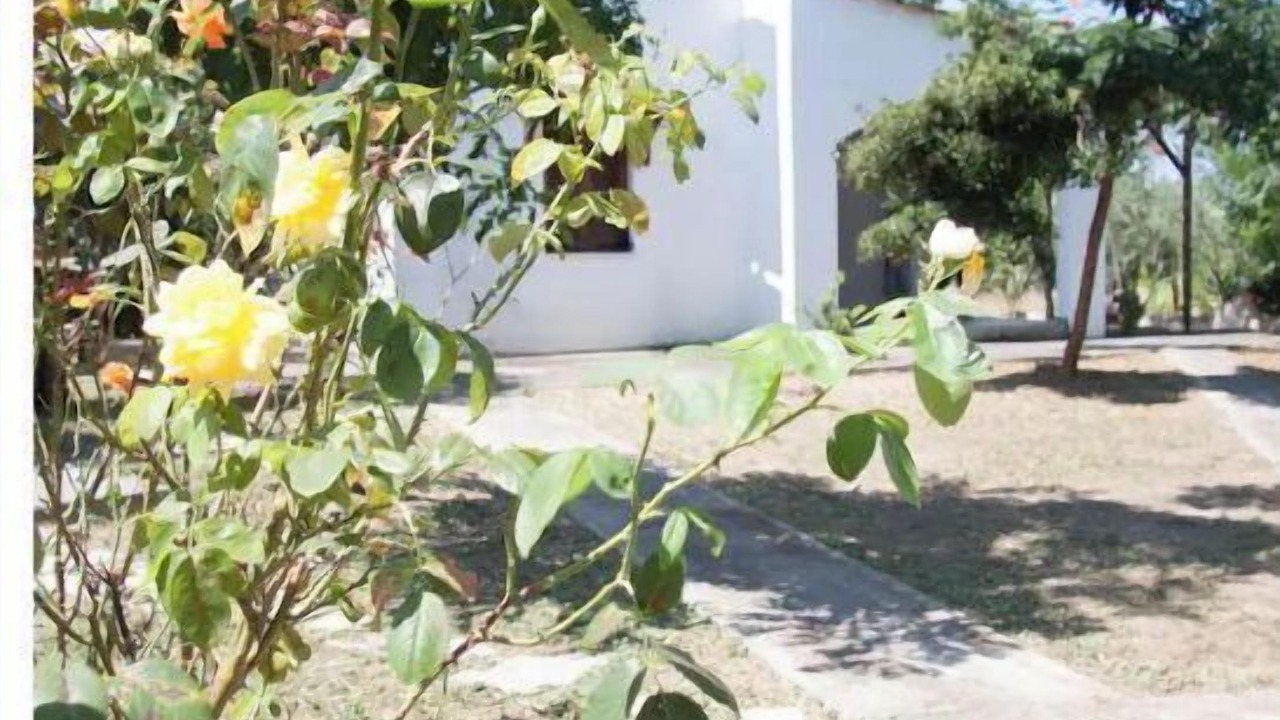 Photo of Outdoor in Edipsos