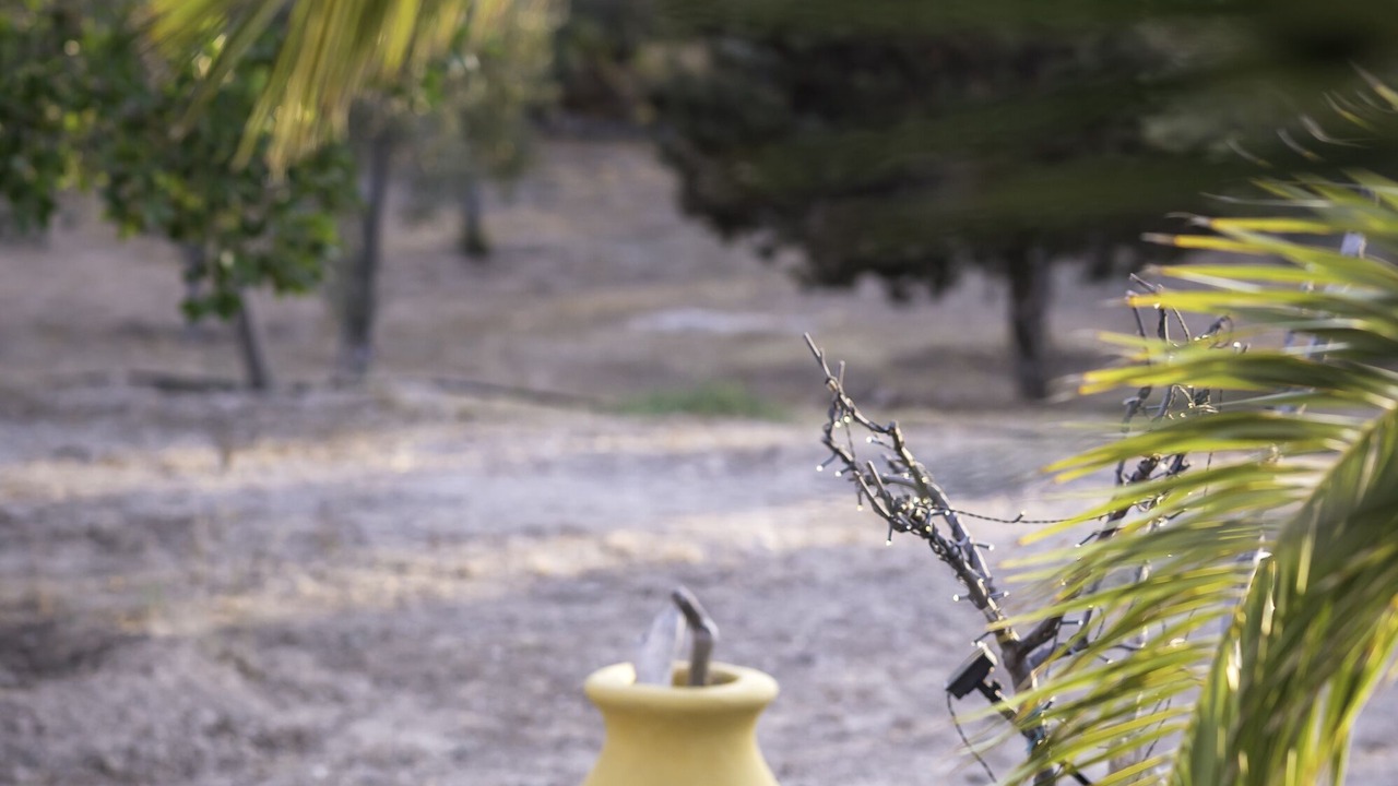 Photo of Outdoor in Vagia