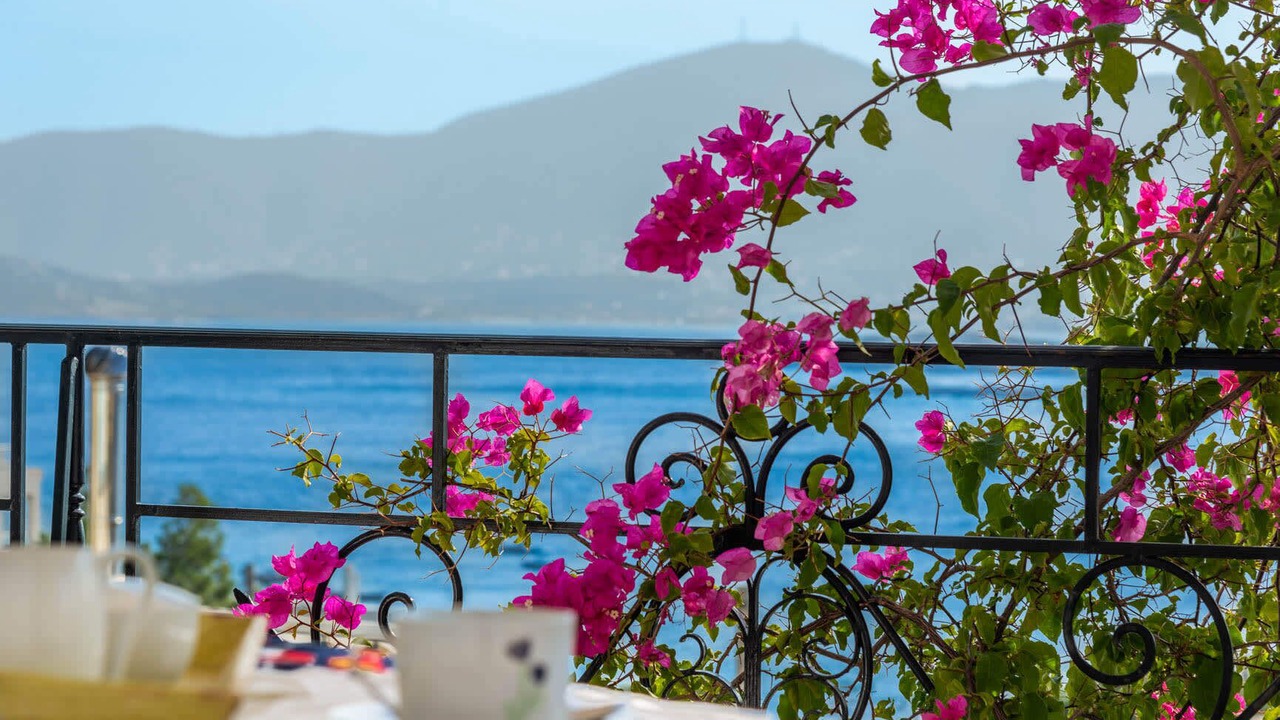 Photo of Others in Porto Rafti