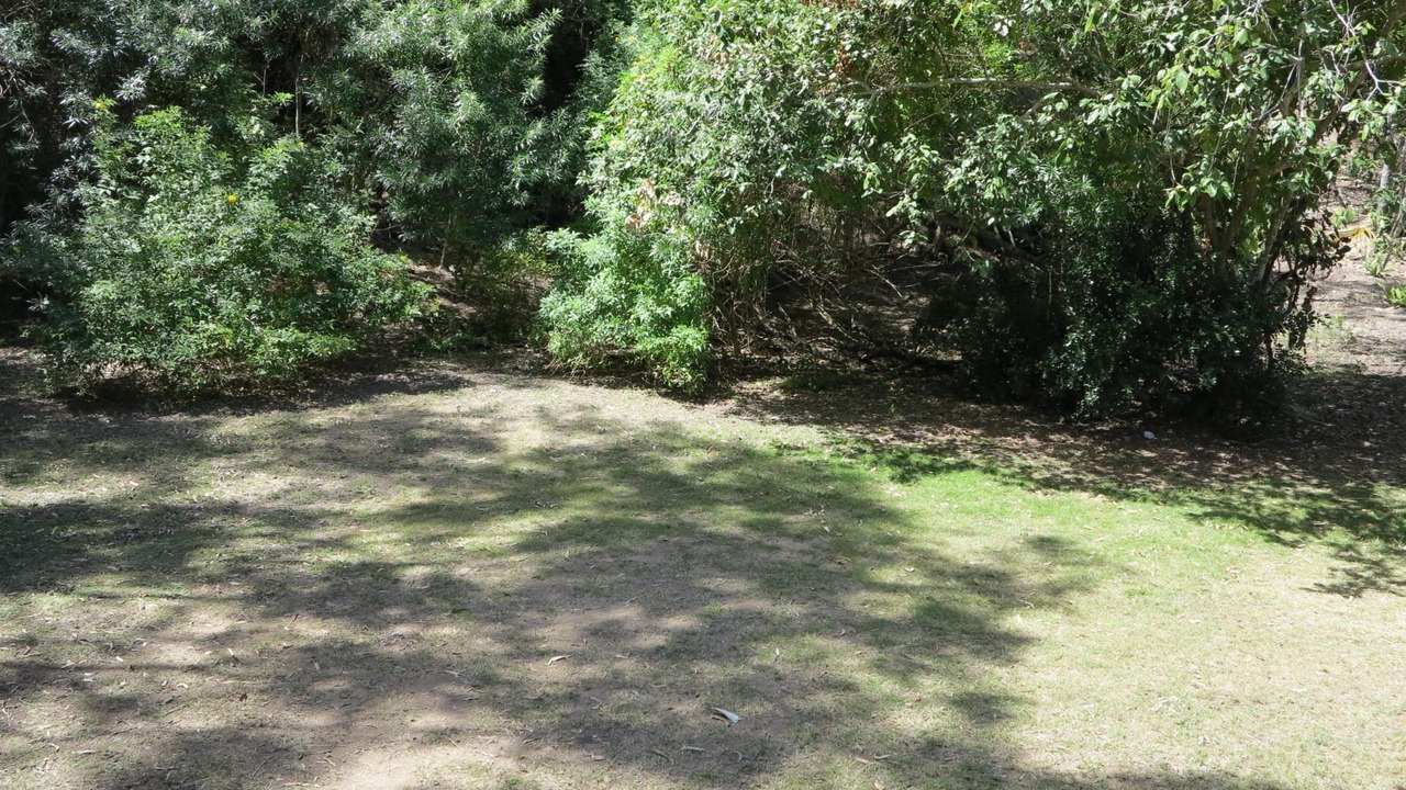 Photo of Outdoor in Arcadia