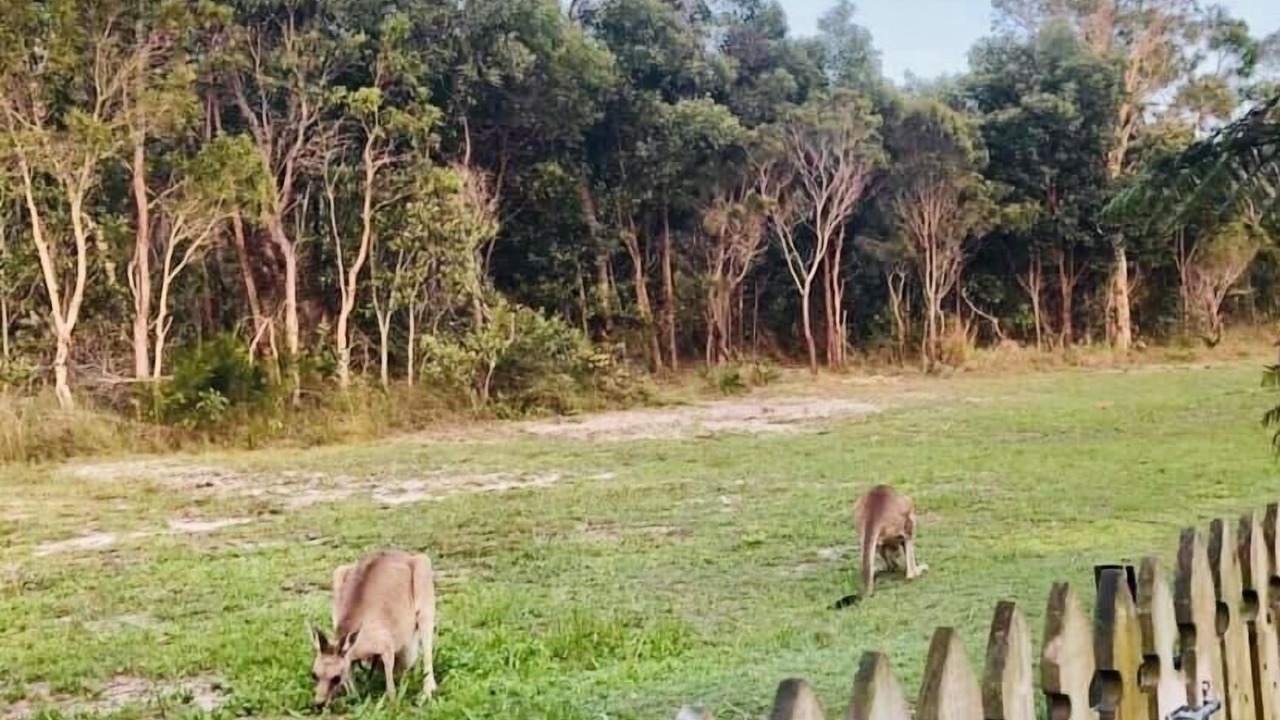 Photo of Outdoor in Ningi