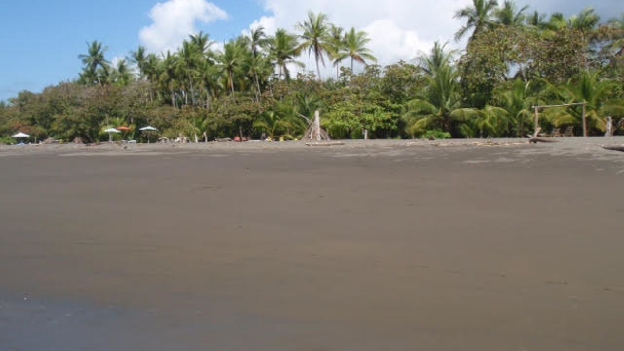 Photo of Others in Playa Matapalo