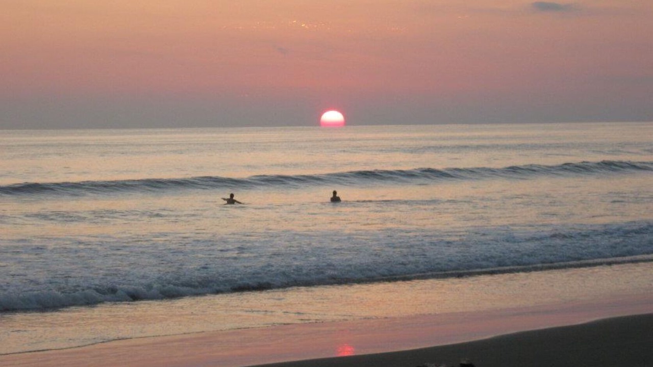 Photo of Others in Playa Matapalo