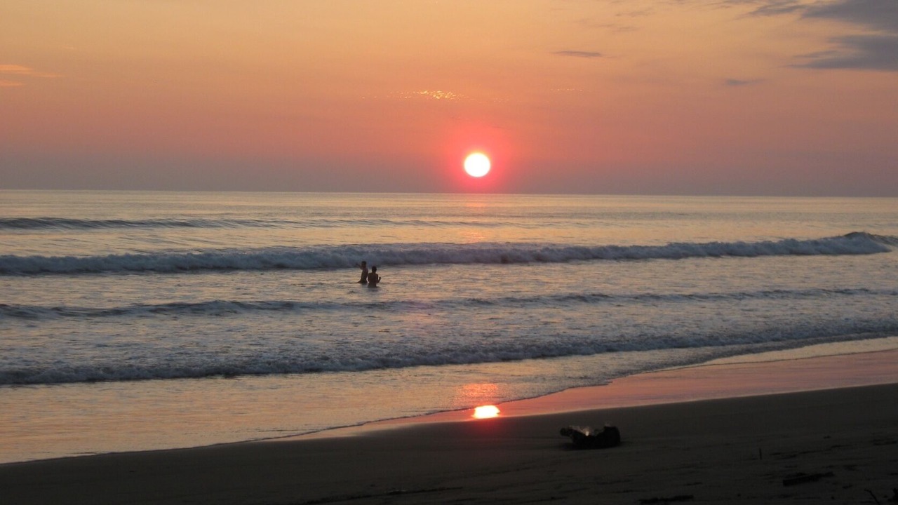 Photo of Others in Playa Matapalo
