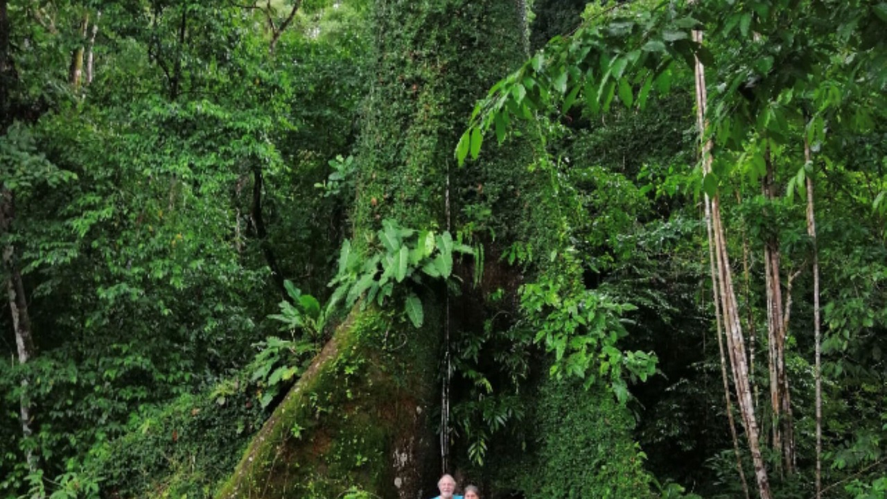 Photo of Others in Playa Matapalo